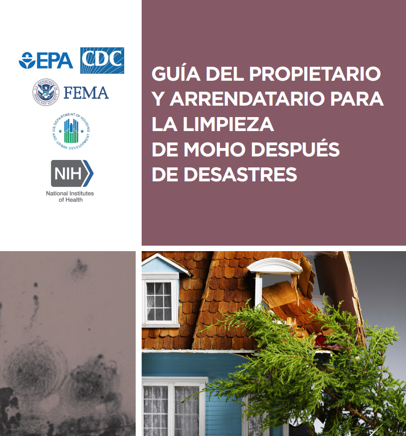 Guia para los dueños de casa sobre la limpieza del moho Portada de la guía para los dueños de casa y los inquilinos