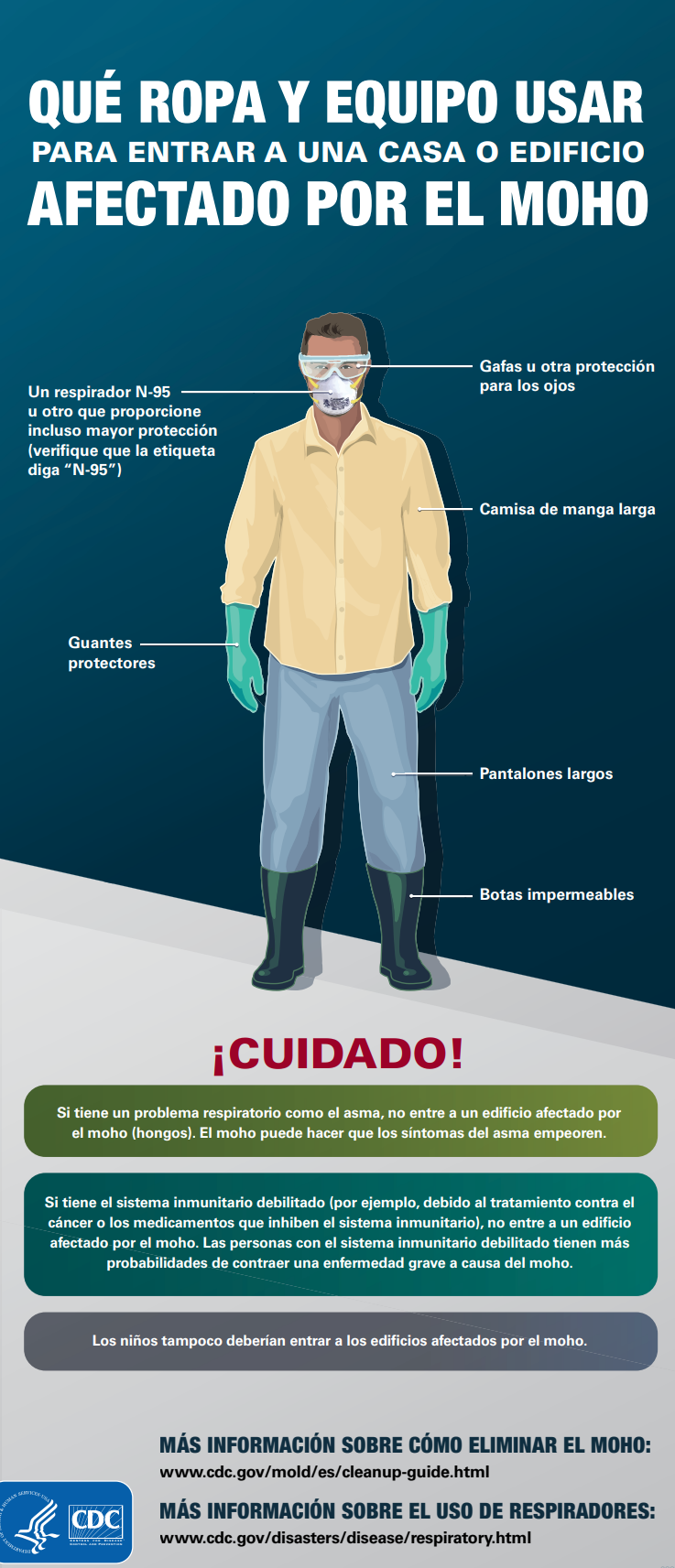 que ropa usar limpiar moho Portada mostrando qué ropa y equipo ponerse al limpiar moho
