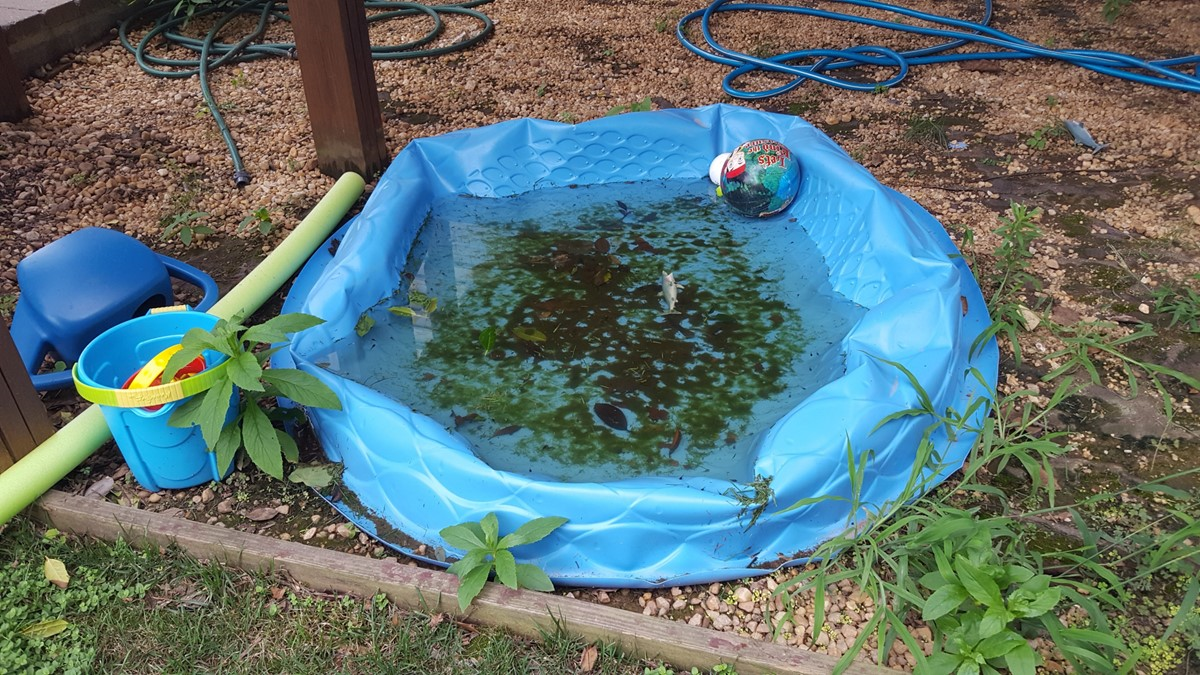 Illustration of overturned pool to limit the potential of it filling with water and becoming a mosquito habitat.