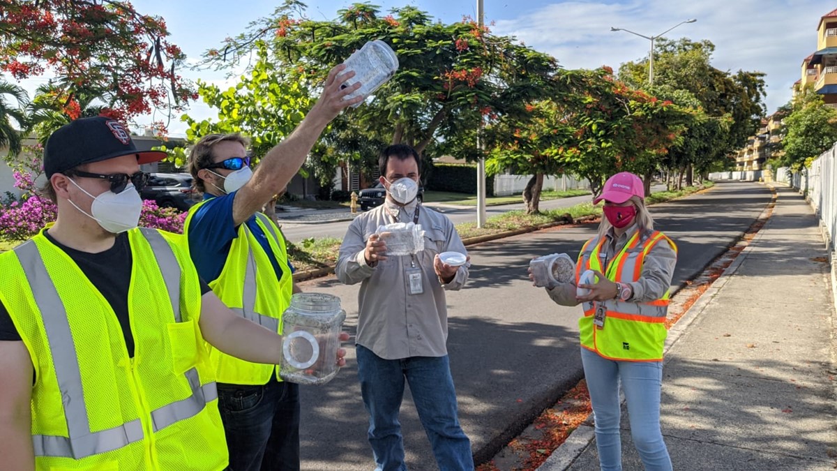 ES Puerto Rico vector control unit La Unidad de Control de Vectores de Puerto Rico libera mosquitos con Wolbachia en Ponce, Puerto Rico.