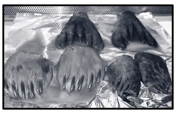 phapproach05 Fermented animal paws