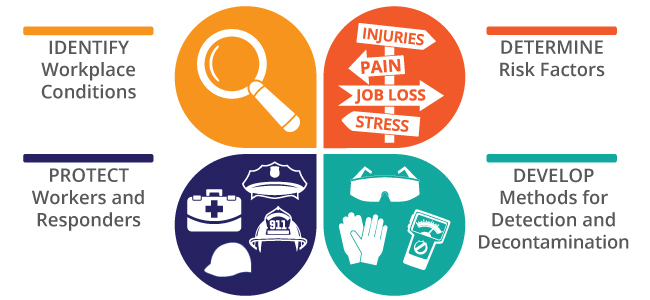 framework-info-graphic Opioid framework graphic