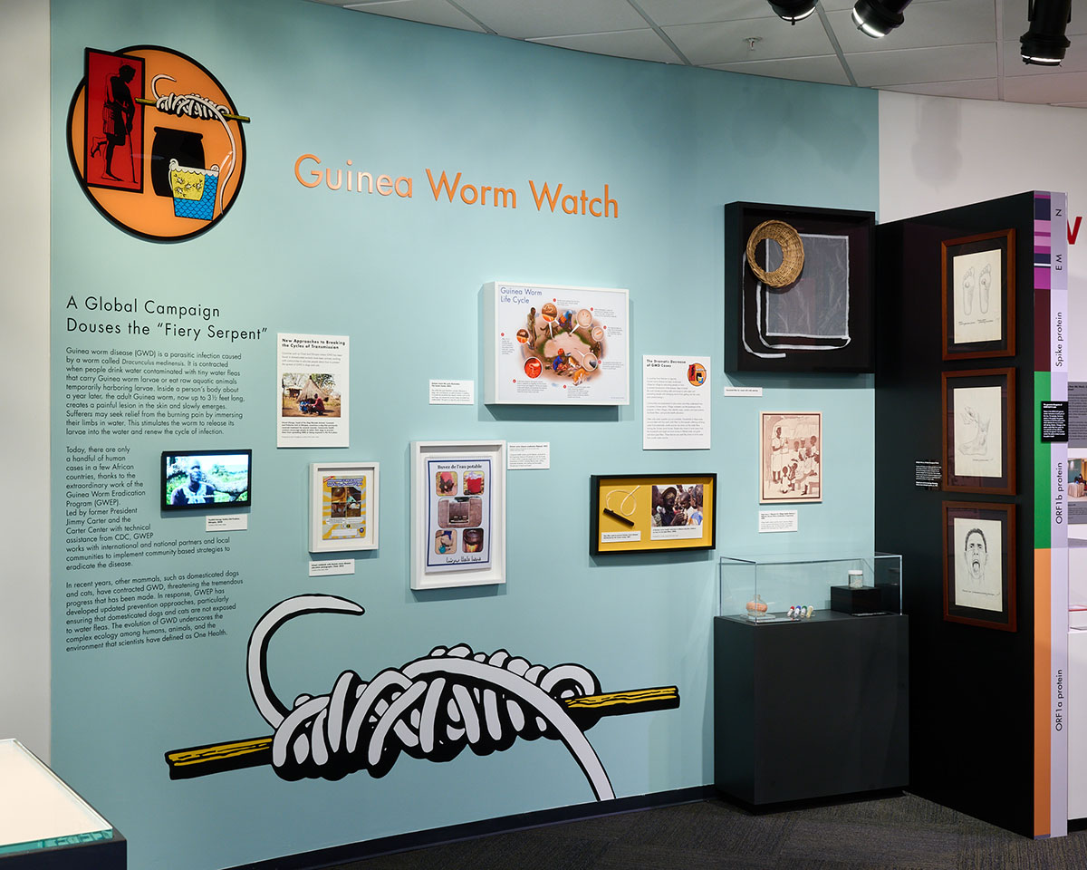 guinea worm installation guinea worm installation