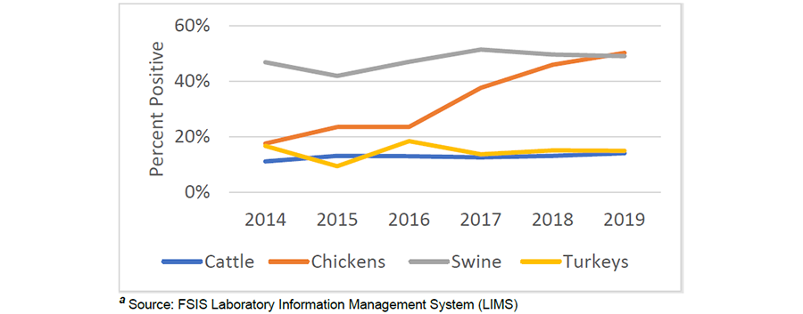 NARMSMultiYearscreenshot900px Graph from FSIS NARMS multi-year report showing percentage of cattle, chicken, swine, and turkey samples positive for Salmonella.