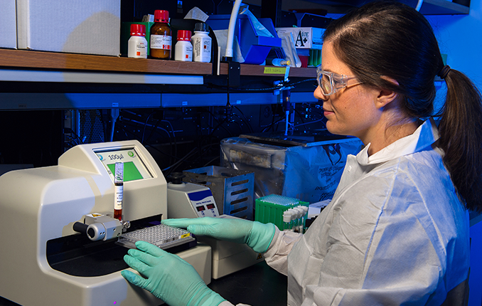 christen-narms-lab-678px Scientist analyzing data from bacterial samples in a laboratory