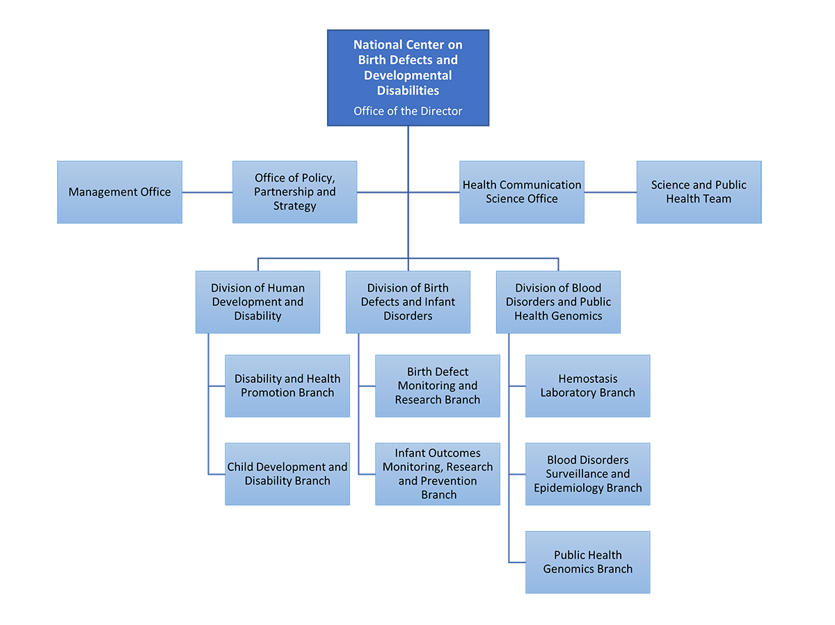 ncbddd-org-chart-for-web NCBDDD org chart, details to follow