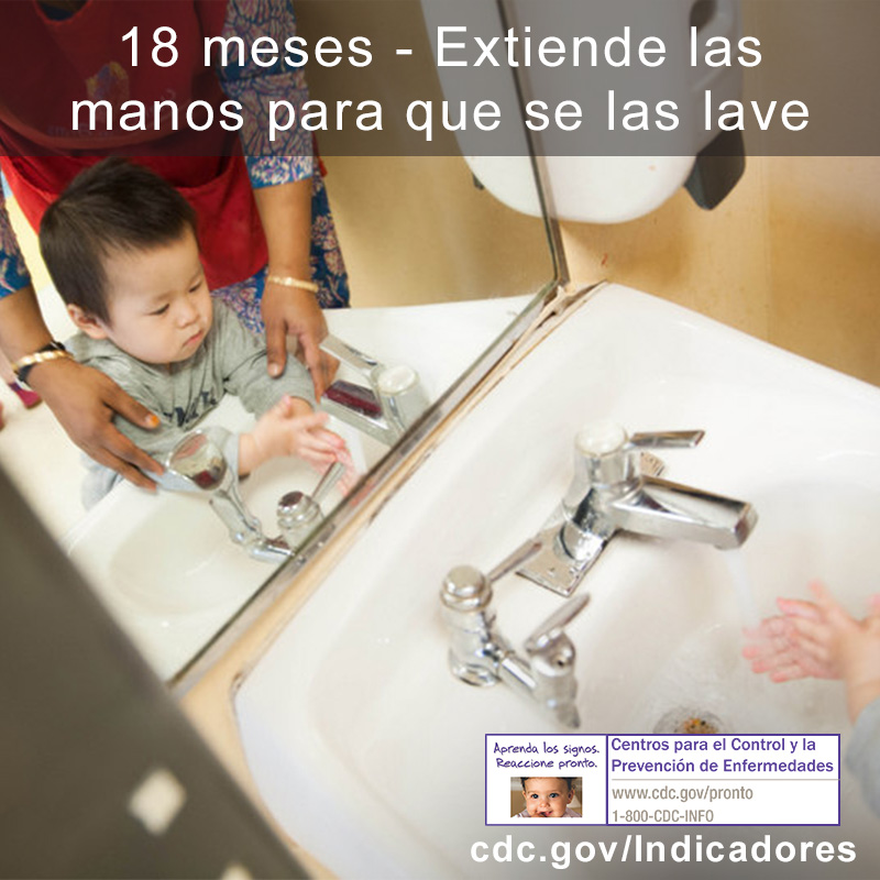 Extiende las manos para que se las lave