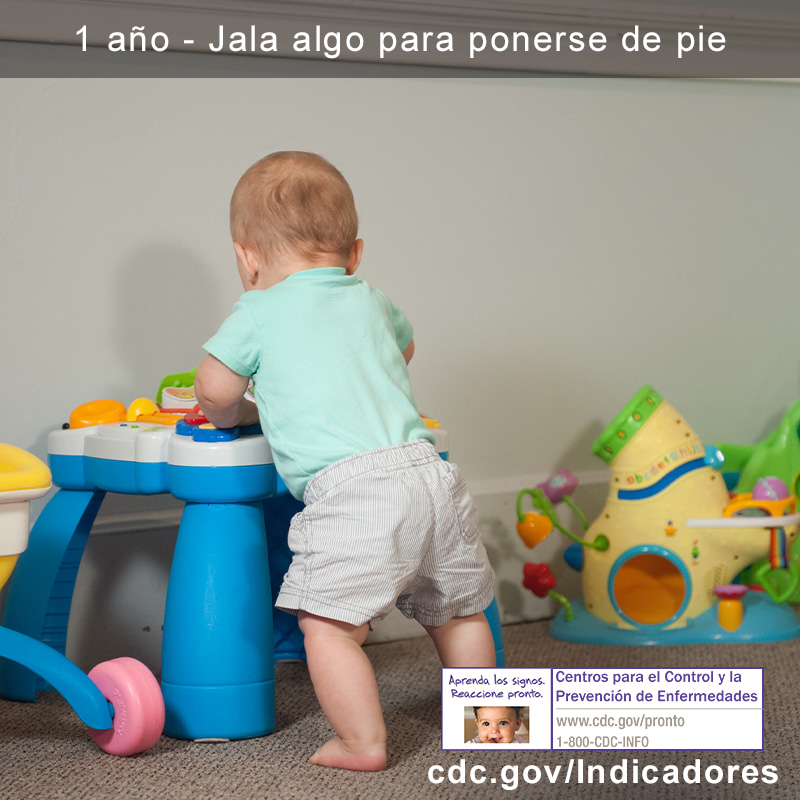 Jala algo para ponerse de pie 2