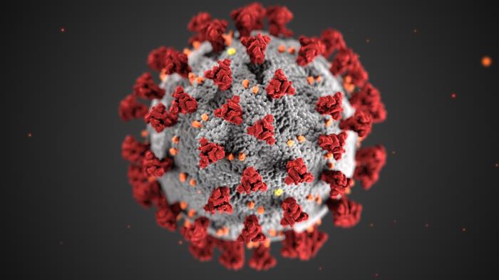 ultrastructural-morphology-exhibited-by-coronaviruses ultrastructural morphology exhibited by coronaviruses