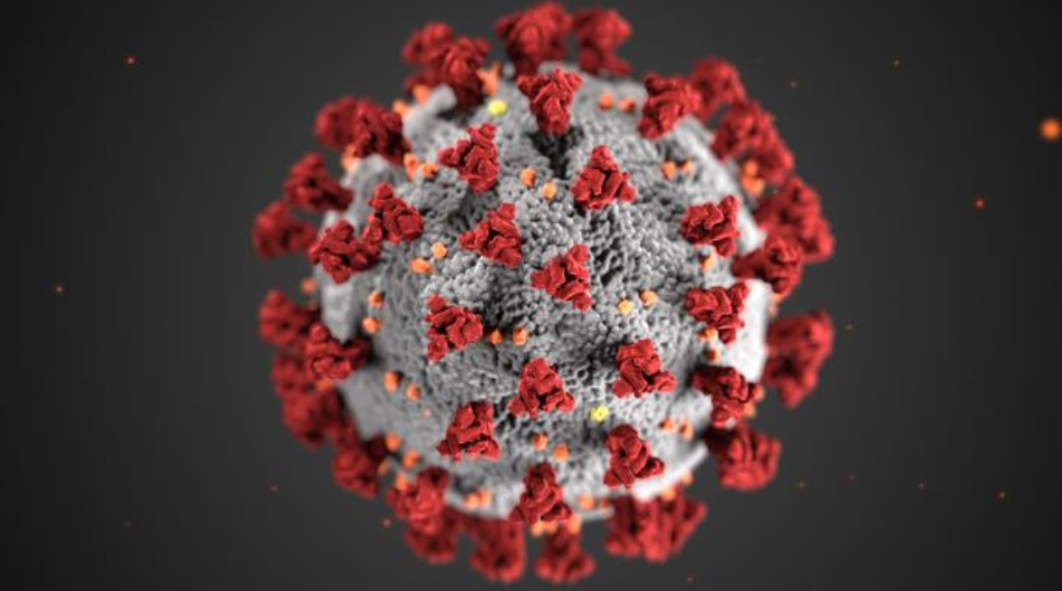 This illustration shows a microscopic image of coronaviruses. There are red spike proteins on the outer surface.