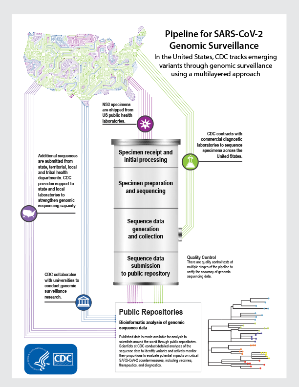 pipeline-genomic-surveillance INFOGRAPHIC - Pipeline for SARS-CoV-2 Genomic Surveillance