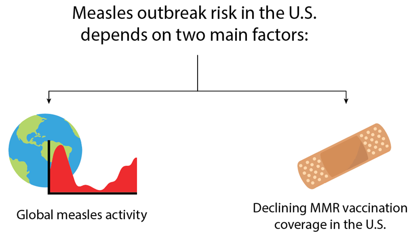 measles-outbreak-risks The two primary factors that contribute to measles outbreaks in the U.S. are global measles activity and declining MMR vaccination coverage in the U.S.