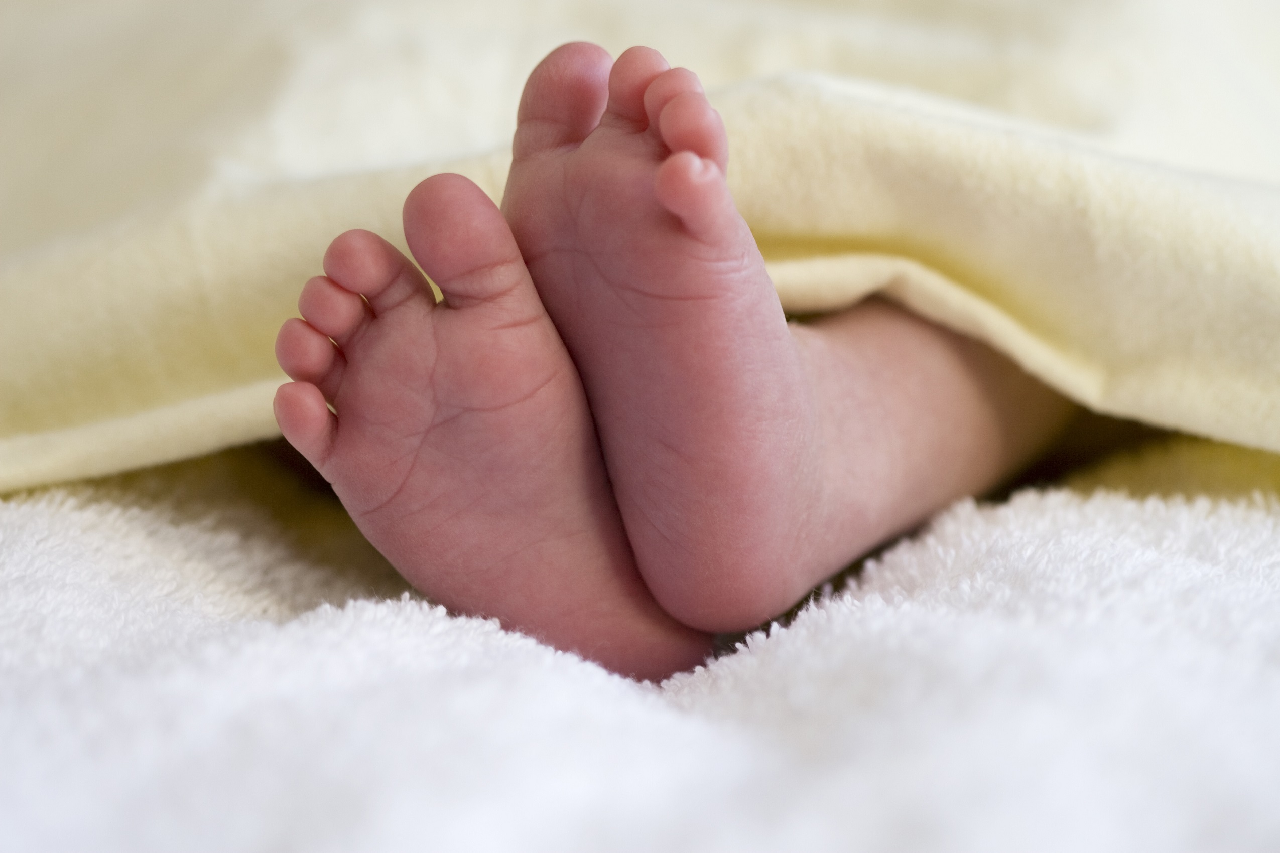 Baby feet photo Baby feet on blanket