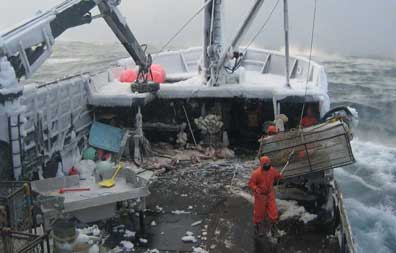 2012-129.jpg_8cc54 A typical day crab fishing on the Bering Sea in Alaska. Photo courtesy of Mike Fourtner.