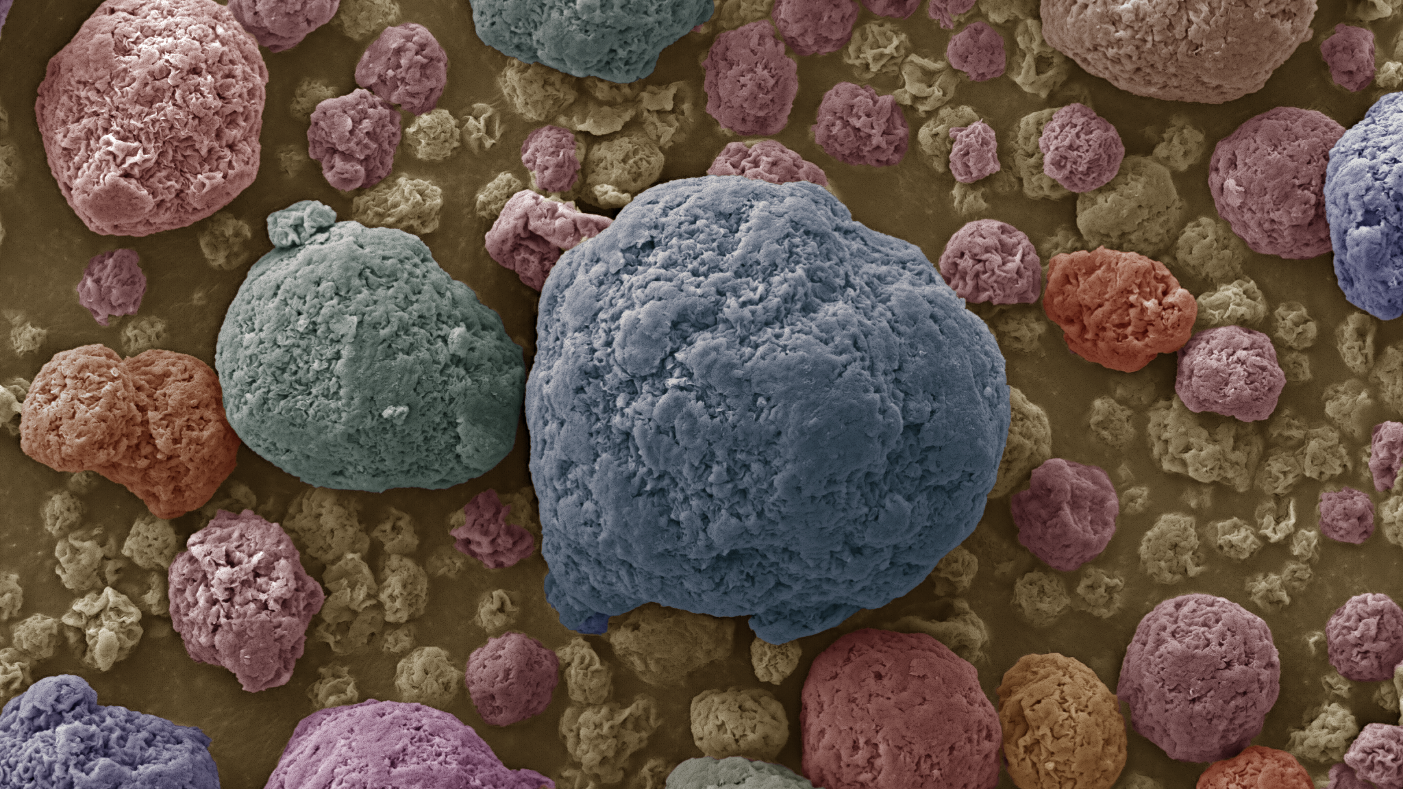 DD Image nanoclay particles nanoclay particles