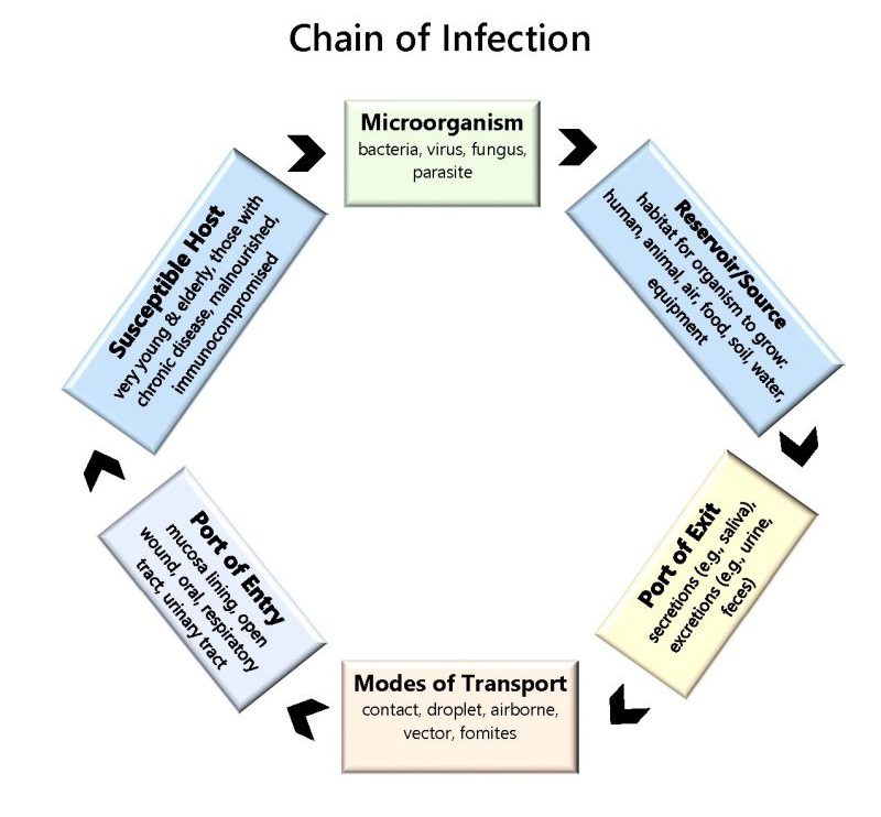 Chain of Infection Chain of Infection graphic