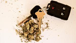 cannabis and driving Car keys next to cannabis buds. Workplace safety topic: cannabis and driving. Image credit: LeslieLauren iStock/Getty Images Plus