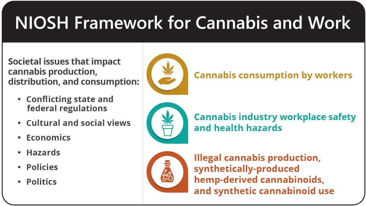 NIOSH framework for cannabis Infographic listing societal issues that impact cannabis production and use, and the related workplace areas of concern.