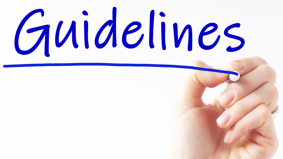 Guidelines hand writing inscription GUIDELINES with blue marker