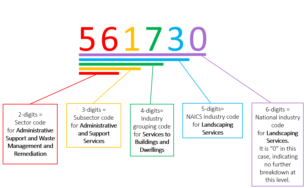 NAICS Code Explained Sector code (least detailed): 56 (Admin support); Subsector code: 561 (admin and support srvcs); ind. grouping: 617 (services to buildings); NAICS ind. code: 56173 (landscape srvcs); National ind. code (most detailed): 561730 (landscape srvcs)