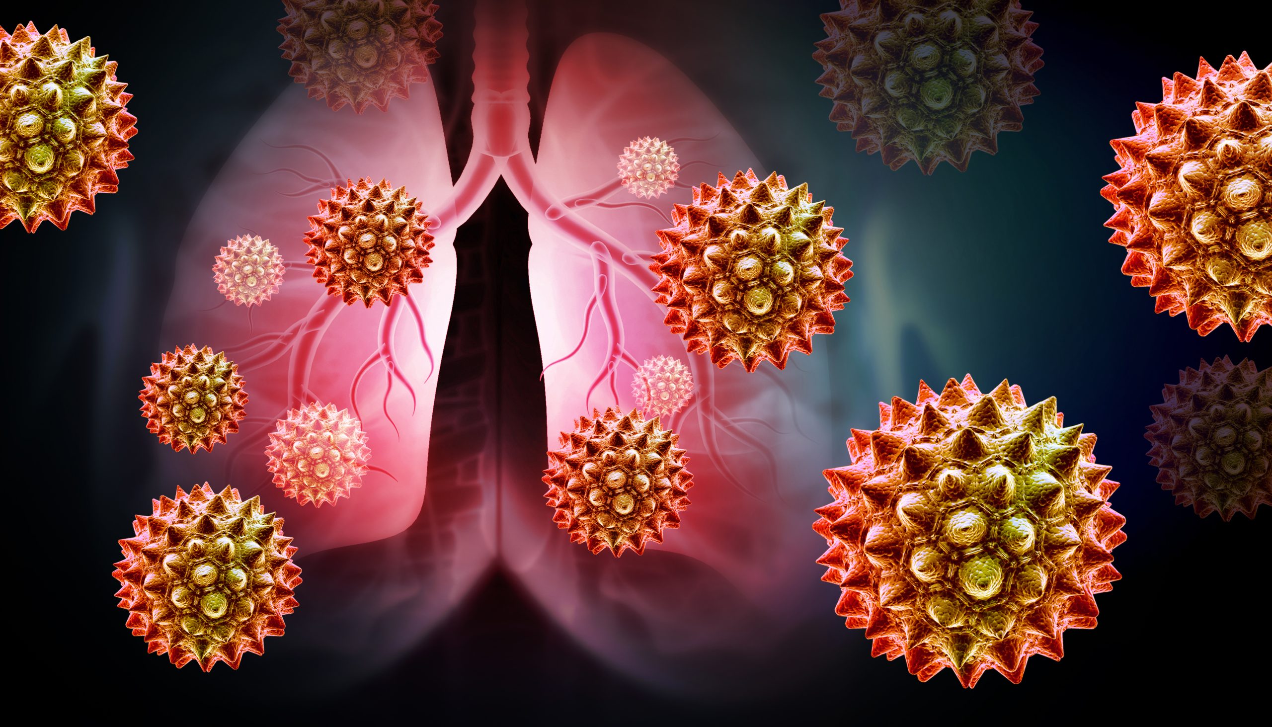 lungs An illustration of the lungs and contaminants