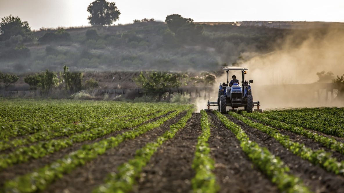 Agriculturetractorfield.jpg Tractor in agricultural field