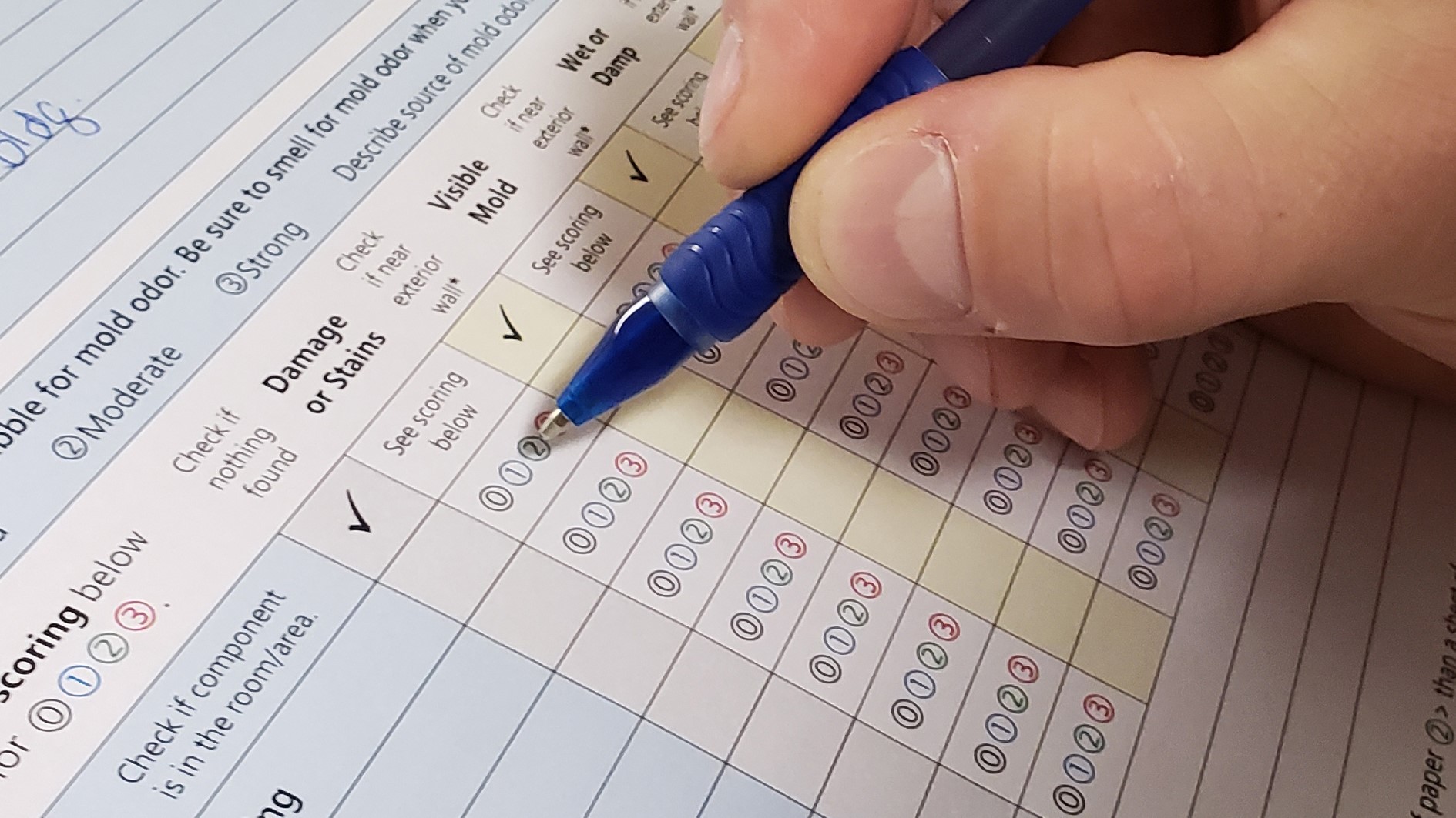 DMAT Form Filling in bubbles on the Dampness and Mold Assessment Tool form.
