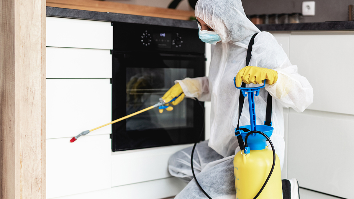 — title missing — A person wearing PPE sprays pesticide in a kitchen.