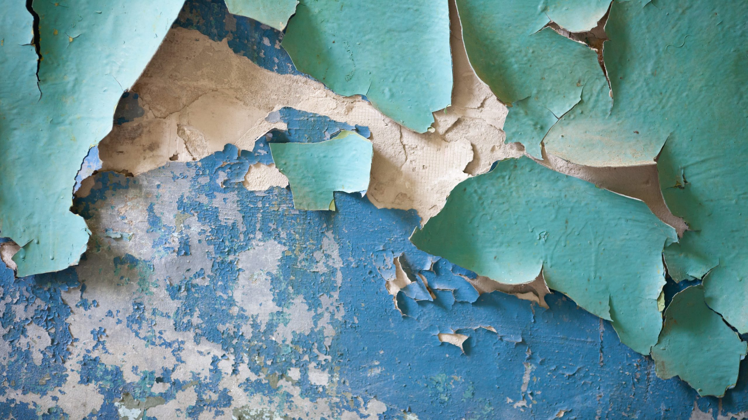 — title missing — Paint peeling off a wall.