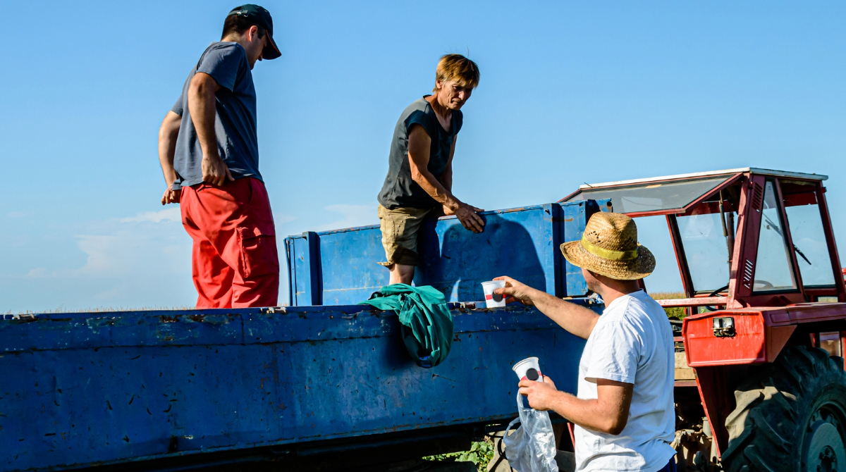 — title missing — Employer handing out water to workers