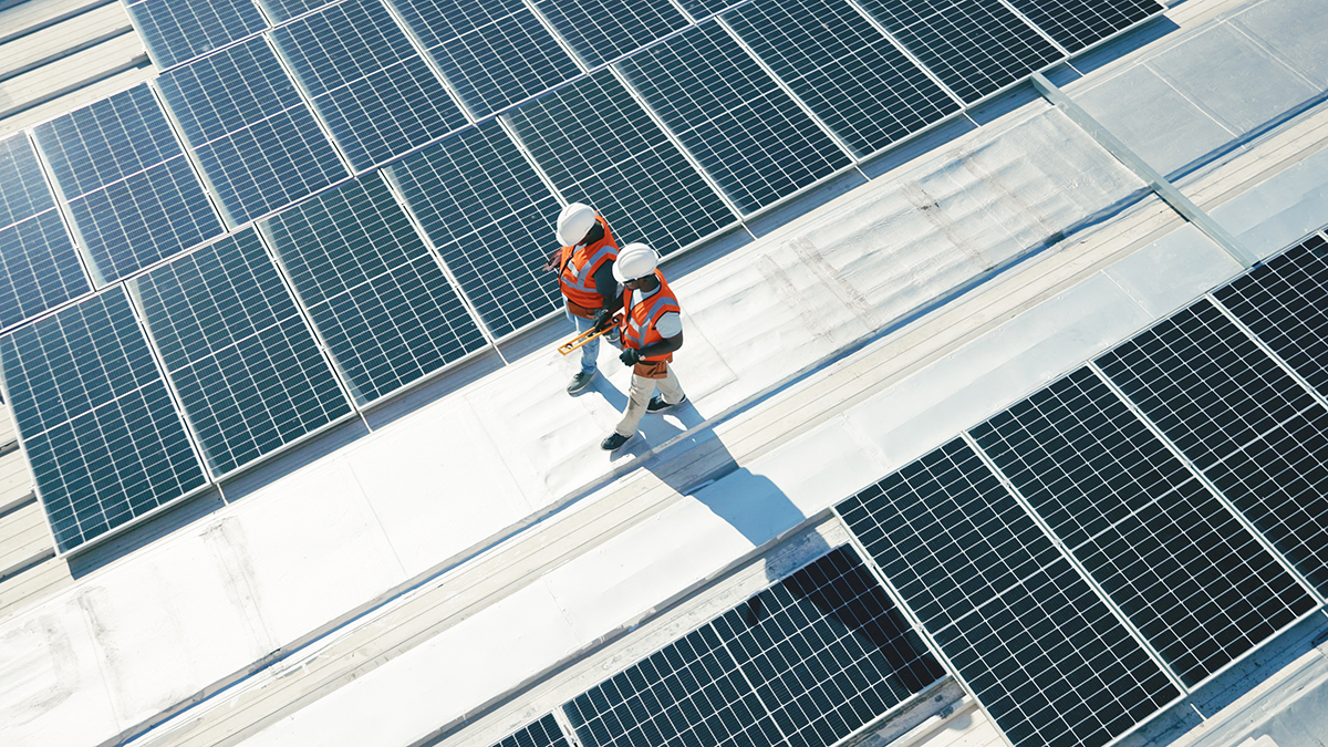 — title missing — Workers walking between renewable energy solar panels