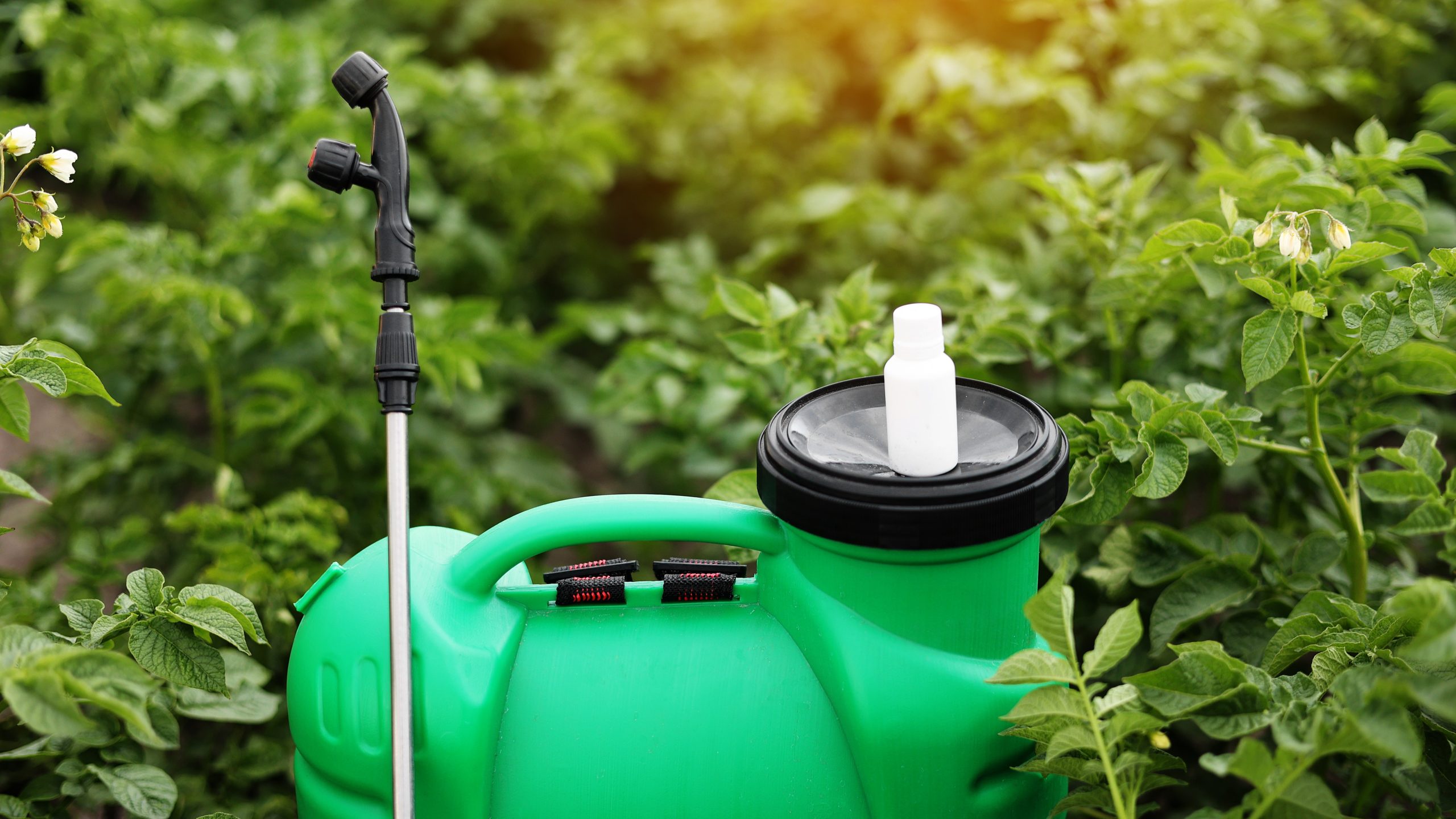 — title missing — Bottle of pesticide, or herbicide for protecting plants from diseases and pests. photo by Andrii Medvediuk/Getty Images