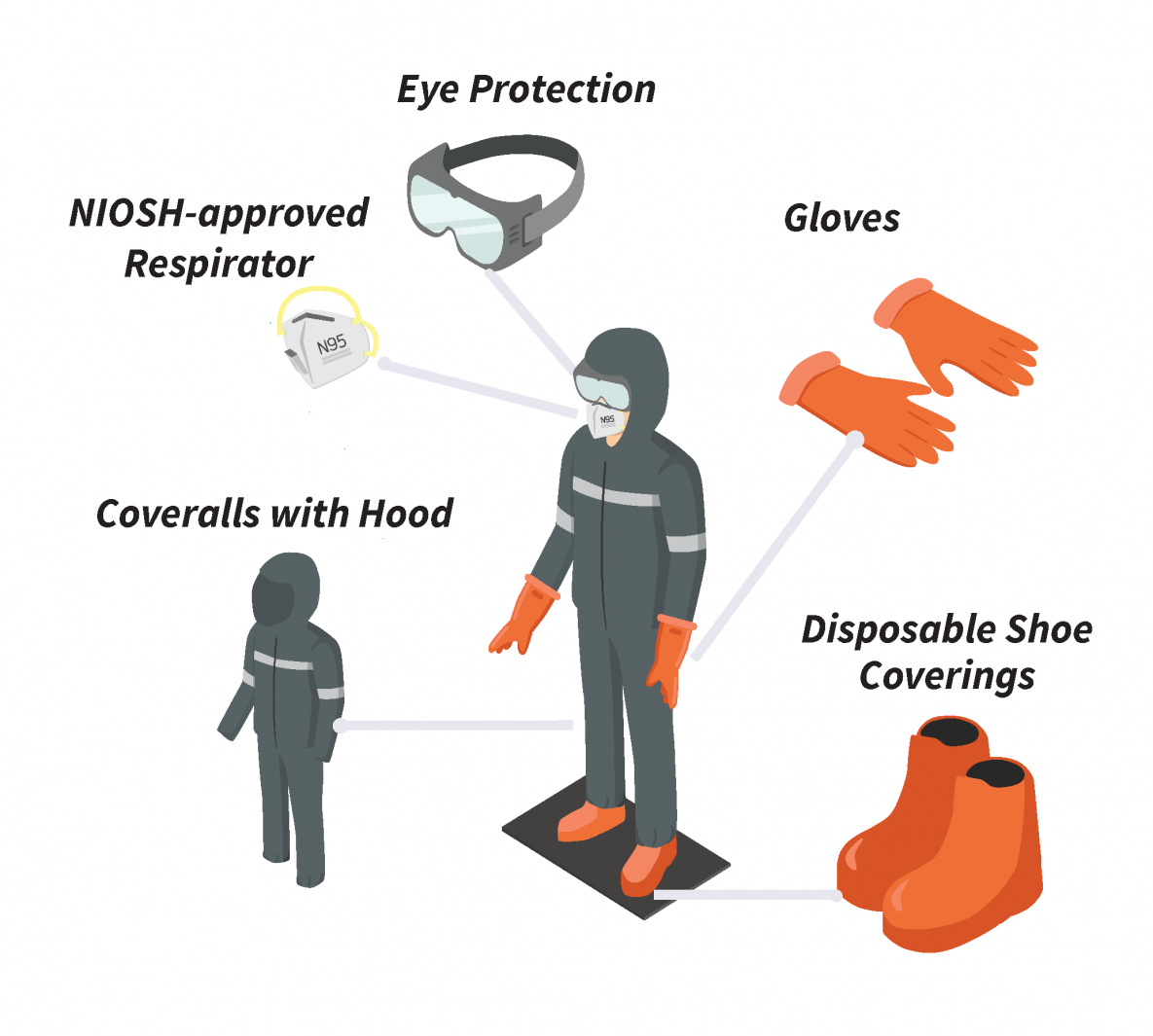 PPEdiagramlarge.png Person wearing eye protection, disposable shoe coverings, gloves, coveralls with hood, and NIOSH-approved respirator