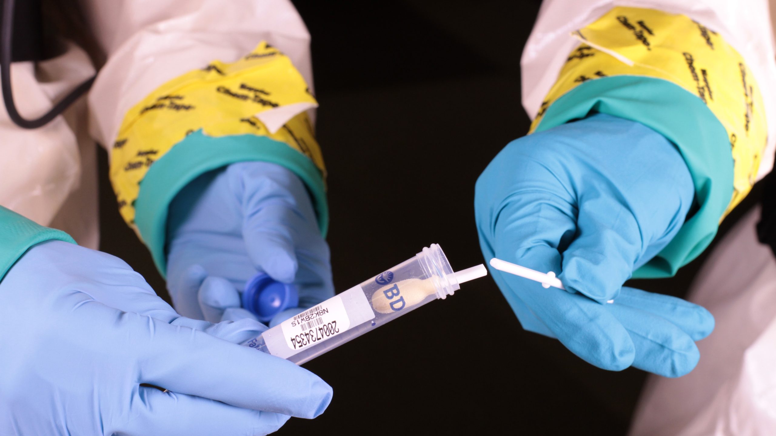 -- title missing -- hands wearing blue gloves breaking swab
