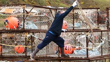 otherhazardsthumbnail.png A commercial crab fisherman reaches for a swinging line while working on a stack of crab pots in Dutch Harbor, AK. Photo by NIOSH