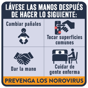 noro-20-lávese-las-manos Lávese las manos después de cambiar pañales, tocar superficies comunes, dar la mano, cuidar a personas enfermas. Prevenga los norovirus.