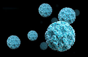 norovirus-collection.jpg Norovirus