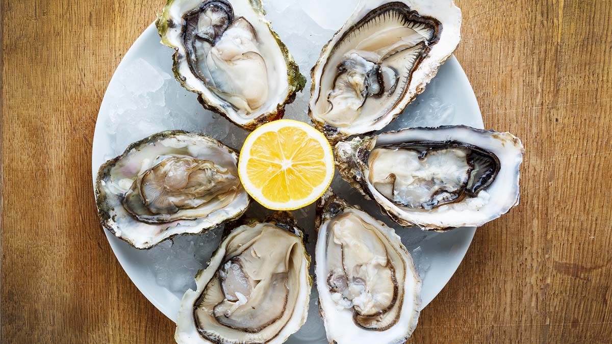 raw oysters and norovirus Ostras crudas en un plato con limón.