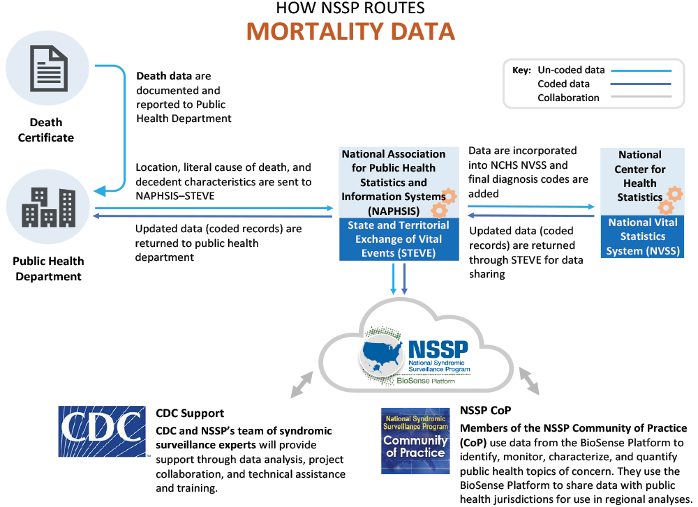How Sites Route Mortality Data to NSSP Pictograph How Sites Route Mortality Data to NSSP