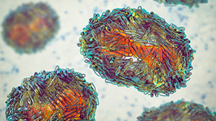 monkey pox microscope image enhanced