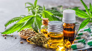 cannabis placeholder Medicinal cannabis varieties
