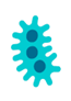 Virus Virus
