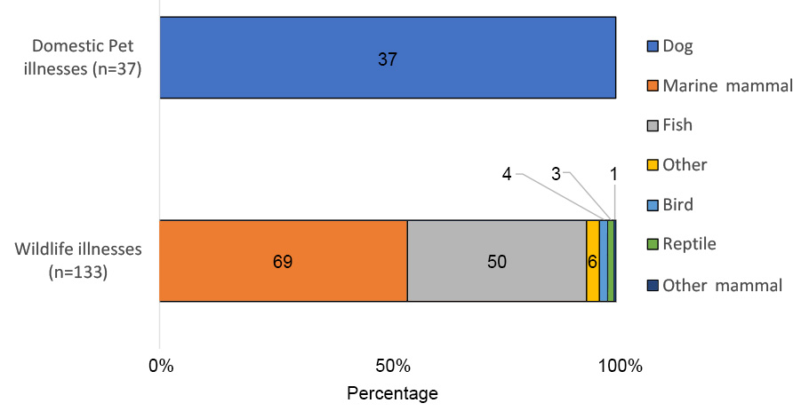 Figure showing the reported animal types of HAB-associated animal cases (excluding fish kill), 2020