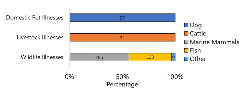 Figure 13 2019 Figure 13 is a bar chart showing the types of animals that were reported ill during 2019, in the categories of domestic pets, livestock, and wildlife.