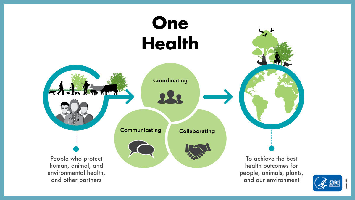 One Health 3Cs Graphic A graphic showing the importance of collaboration, communication, and coordination in One Health. Text reads: People who protect human, animal, and environmental health, and other partners coordinate, collaborate, and communicate to achieve the best health outcomes for people, animals, plants, and our environment.