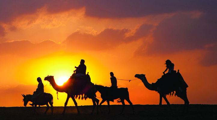 Prioritization Fact Sheet Donkey, Camel Times Two