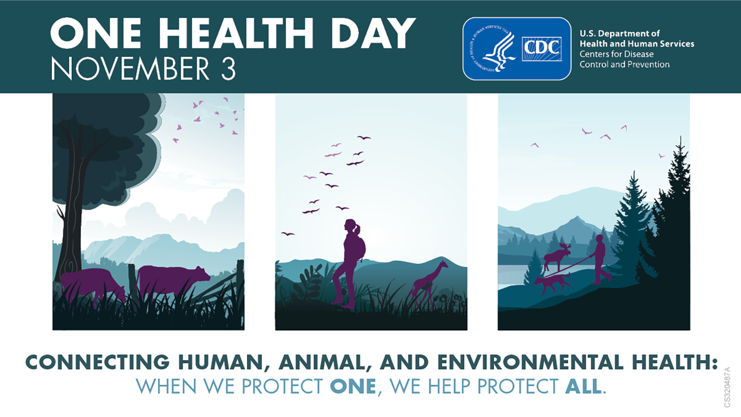 One Health Day November 3 Illustration of a landscape with animals and people interacting in outdoor environments. Text reads: One Health Day November 3 Connecting human, animal, and environmental health: when we protect one, we protect all.