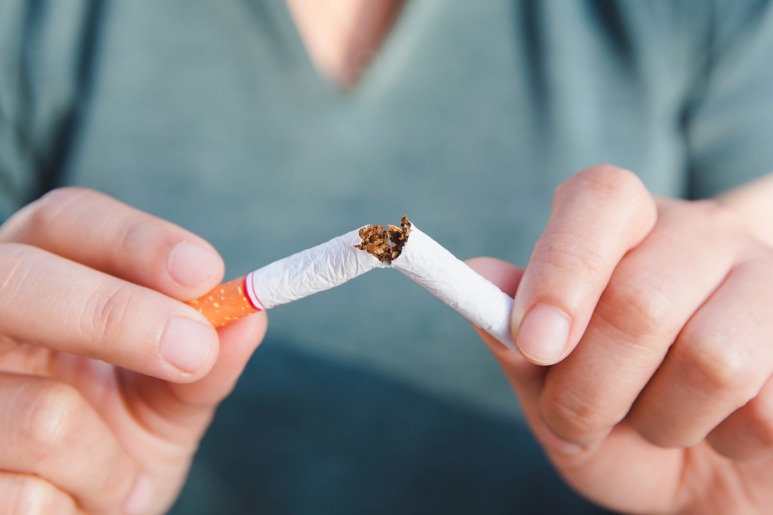 Breaking cigarette woman's hands breaking a cigarette