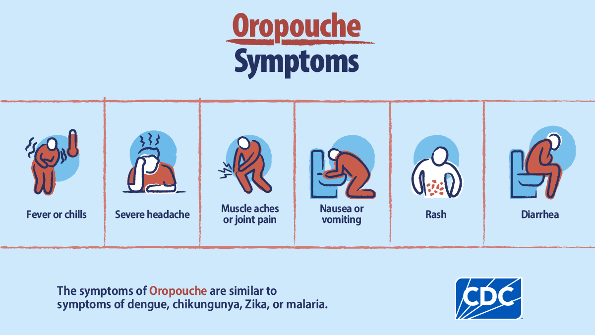 Graphic showing symptoms of Oropouche: fever/chills, headache, muscle aches/joint pain, nausea/vomiting, rash, diarrhea.