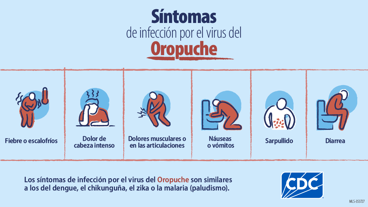 Oropouche virus symptoms en espanol Los síntomas comunes incluyen fiebre, dolor de cabeza intenso, escalofríos, dolores musculares y dolor en las articulaciones.